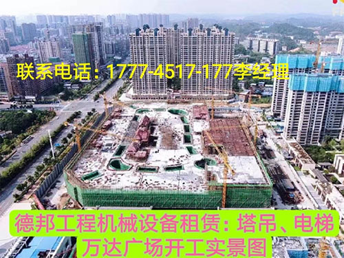 萬(wàn)達(dá)廣場(chǎng)、岳麓青城一二三期   租賃塔吊、電梯實(shí)情